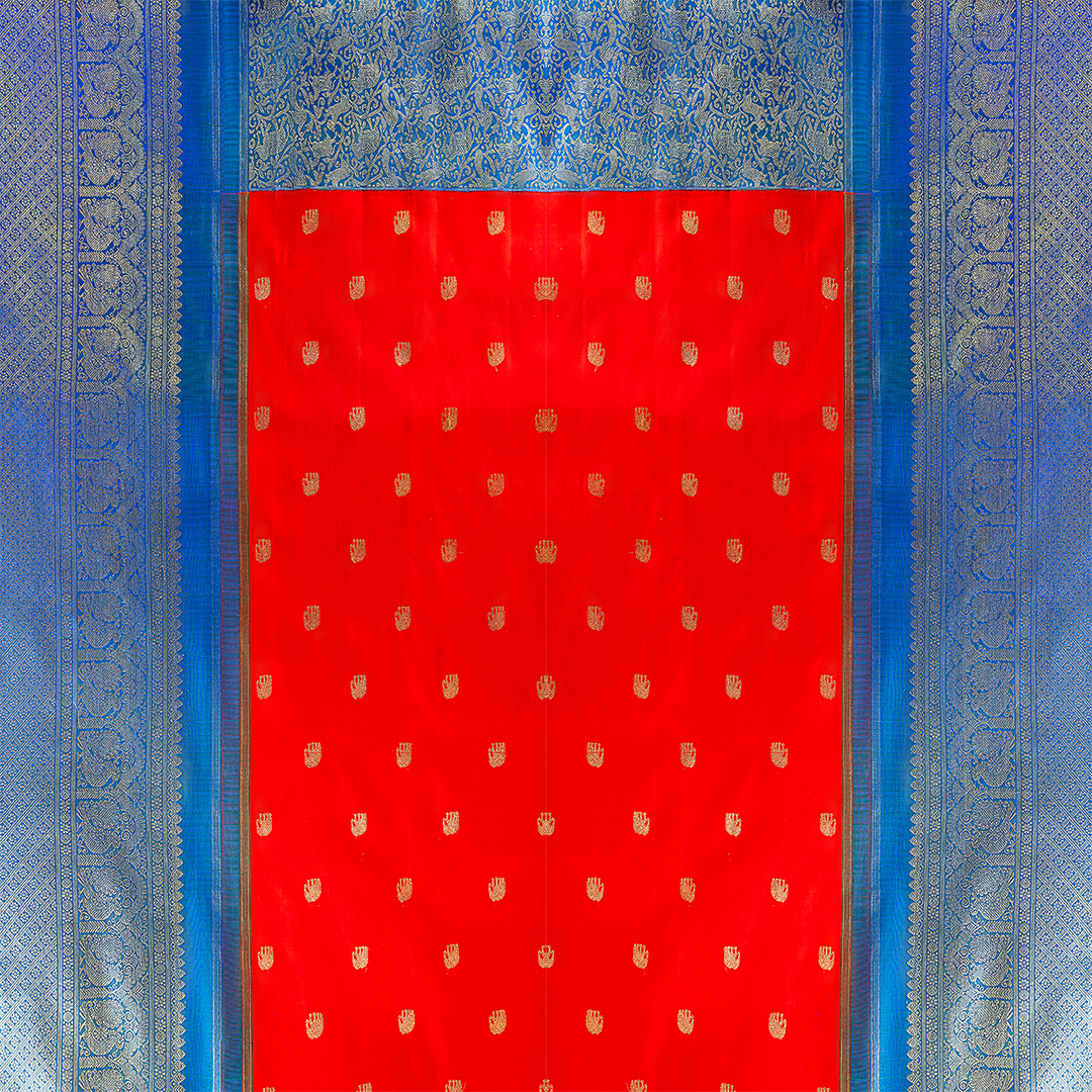 DS23240020